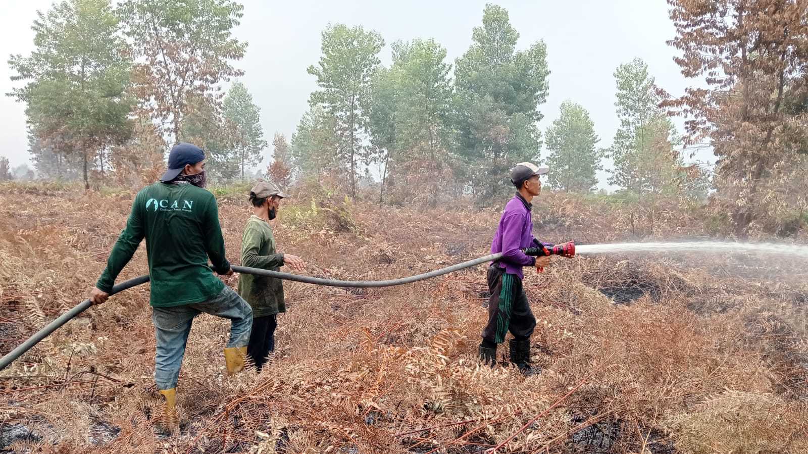 Orangutan Land Trust homepage