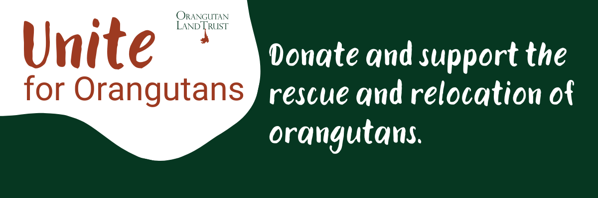 Orangutan Land Trust